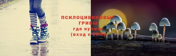 прущие грибы Абдулино