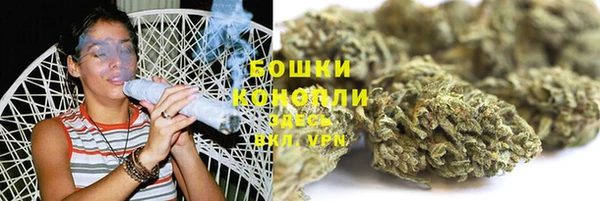 прущие грибы Абдулино