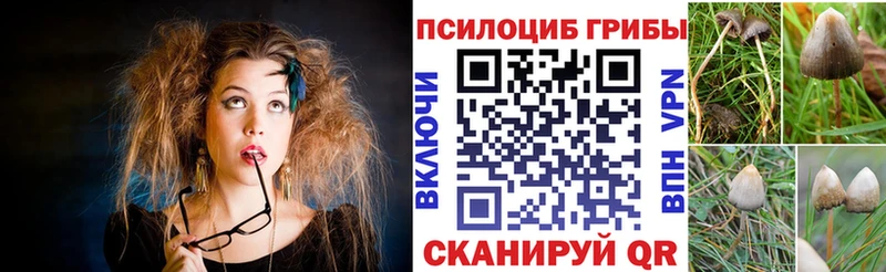 darknet формула  Усолье-Сибирское  Галлюциногенные грибы ЛСД  omg ссылка 