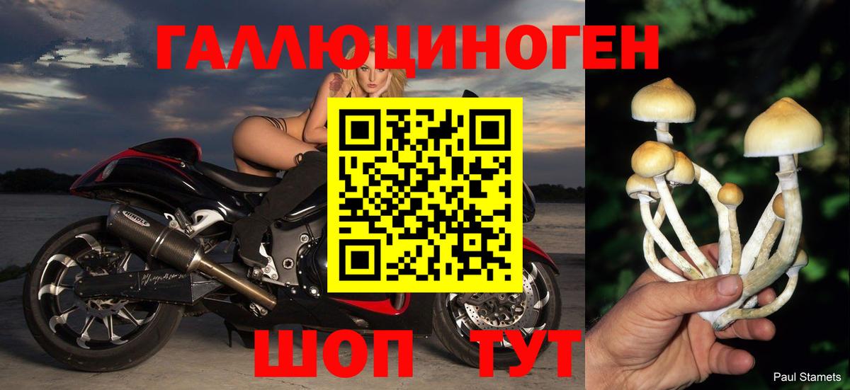 Псилоцибиновые грибы Psilocybe  Вход с VPN  Усолье-Сибирское 